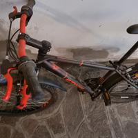 bicicletta bambino seminuova