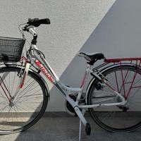 bicicletta bottecchia verde natura