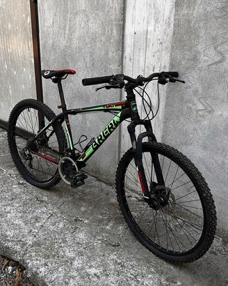 Mountain Bike- da siatemare- VISTA E PIACIUTA