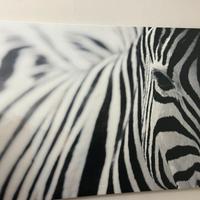 Quadro Zebra