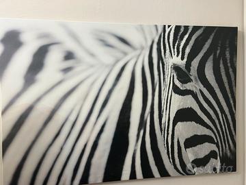 Quadro Zebra