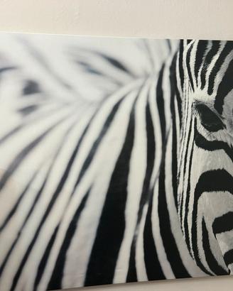 Quadro Zebra