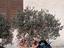 Immagine 3