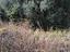 Immagine 25