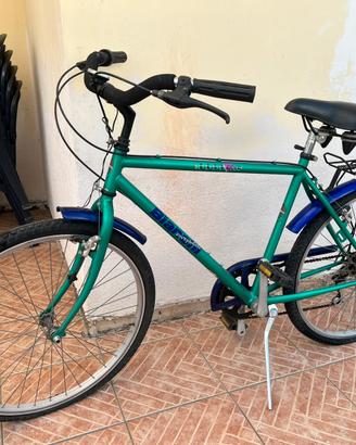 Bicicletta uomo
