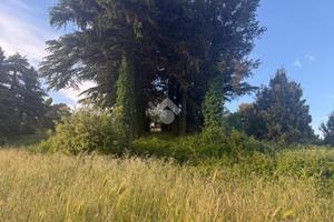 TER. AGRICOLO A ARTENA
