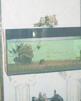 Acquario 400