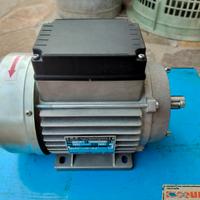 motore monofase elettrico 220V 0,75Kw