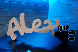 Camere o posti Letto in zona residenziale