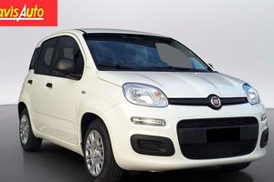 FIAT Panda 1.0 FireFly S&S Hybrid Icon