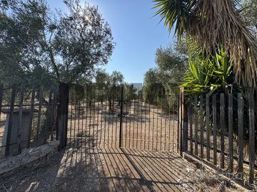 Villa o villino - Bitonto