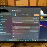 Monitor lg 27 pollici