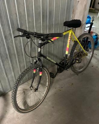 mountain bike