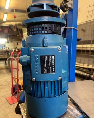 Motore pompa calpeda nmp 50 12 DE