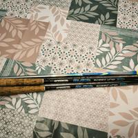 Canne Garbolino Bullet e Daiwa Alborella Aqualite 