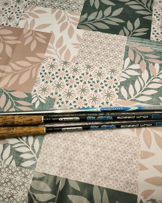 Canne Garbolino Bullet e Daiwa Alborella Aqualite 