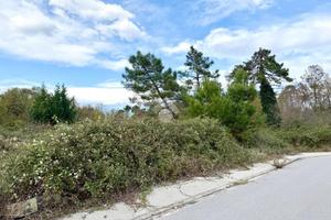 TER. RESIDENZIALE A ALTOPASCIO