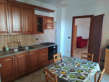 Trilocale lecce agosto