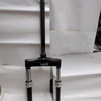 PEUGEOT BUXI BUZZETTI FORCELLA