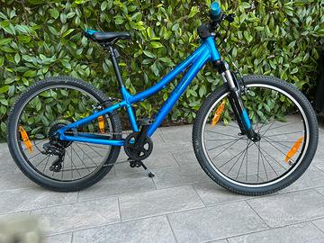 Bici ragazzo/a  altezza 130-145cm - Bergamont