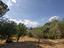 Immagine 29