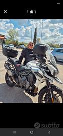 tiger 1200