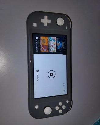 Nintendo switch lite 