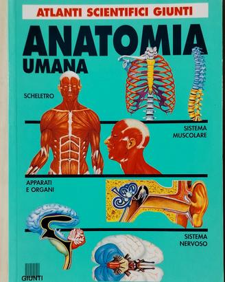 Libro