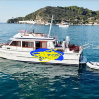 Trawler 13 mt vtreresina