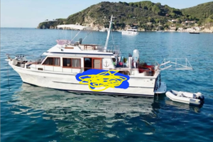 Trawler 13 mt vtreresina