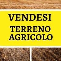 Terreno agricolo 7.169 mq