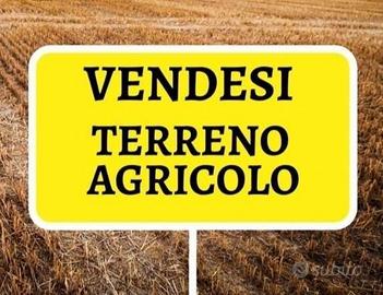 Terreno agricolo 7.169 mq