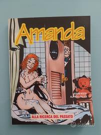 Albo n° 2 della serie mensile Amanda 