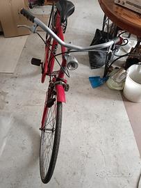 bicicletta  tempo libero 