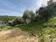 Immagine 11