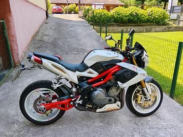Moto Benelli TNT 1130 sport evo 2007