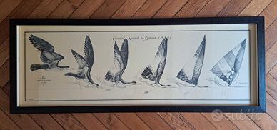 Quadro J. O. Heron "Comment Naissent les Bateaux"