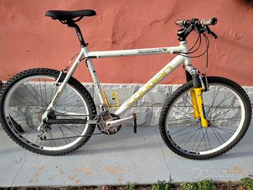 Mtb Lee Cougan 