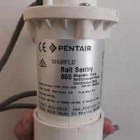 Pompa per Vasca del Vivo Shurflo