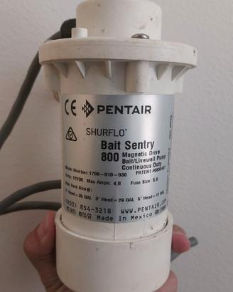 Pompa per Vasca del Vivo Shurflo