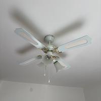 Due lampadari ventilatori