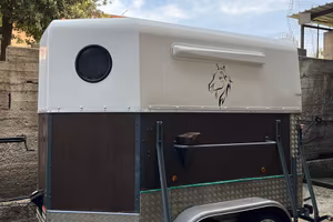 Trailer 2 posti