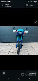 Dominator iscritta Asi
