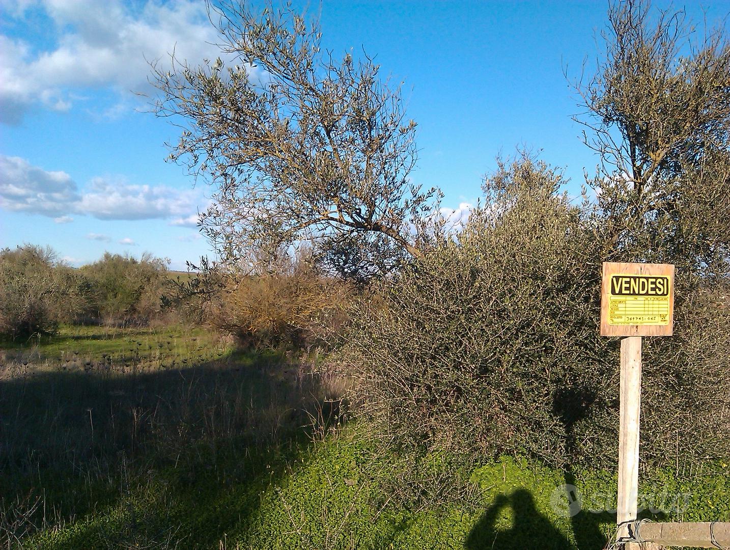 Monastir , terreno agricolo di 9100mq - Vista 3