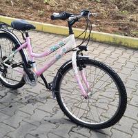 bicicletta