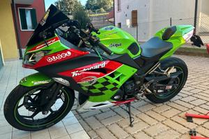 Kawasaki Ninja 300 abs