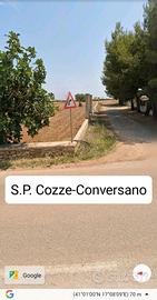 S.p. cozze-conversano terreno edificabile