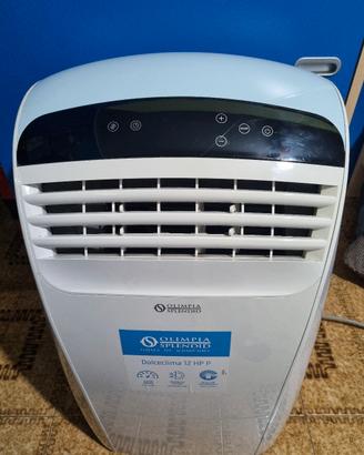 climatizzatore portatile
