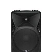 cassa audio top pro 12"