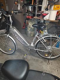 Bici elettrica 